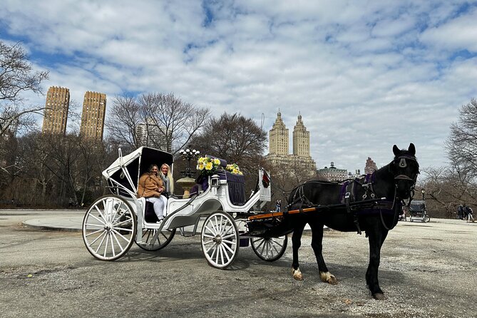 Unforgettable Luxury Horse and Carriage Tours in Central Park - Why a carriage is a smart way to see Central Park
