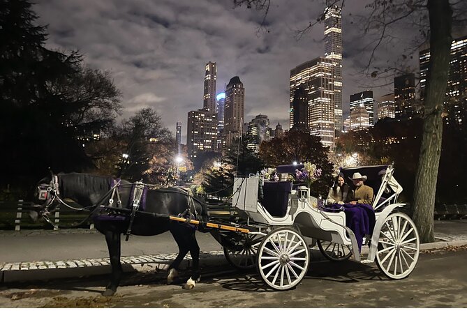 Unforgettable Luxury Horse and Carriage Tours in Central Park - The carousel and a piece of American amusement history