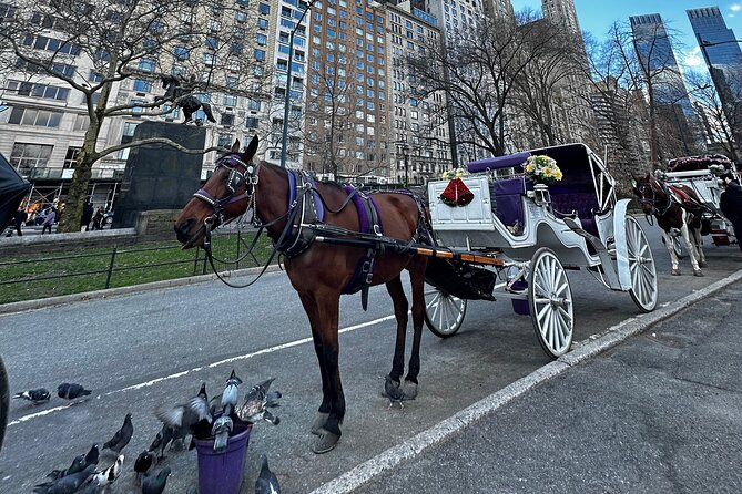 Unforgettable Luxury Horse and Carriage Tours in Central Park - Balto and the story behind the statue