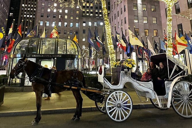 Unforgettable Luxury Horse and Carriage Tours in Central Park - Bethesda Terrace, the five-minute centerpiece