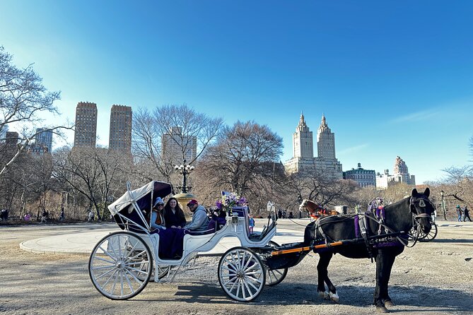 Unforgettable Luxury Horse and Carriage Tours in Central Park - Strawberry Fields and the Dakota building