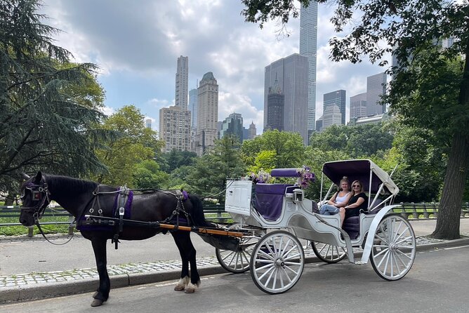 Unforgettable Luxury Horse and Carriage Tours in Central Park - From the ice rink to movie-famous Central Park