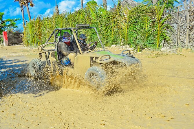 Unlimited Fun in Buggy and ATV and Horses in Punta Cana - Key points before you book