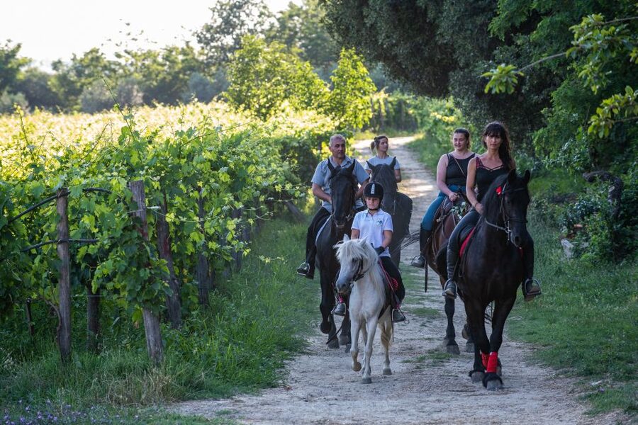 Valdichiana: Horseback Riding Tour with Tuscan Picnic - Riding through the Valdichiana Hills