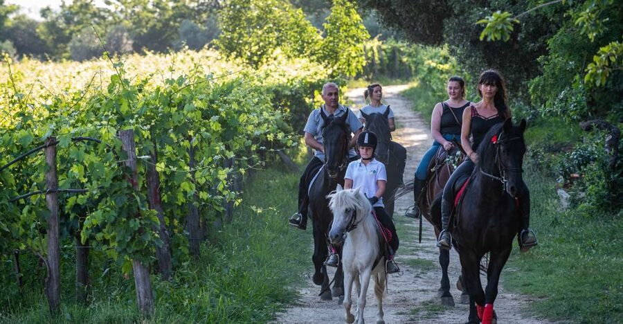 Valdichiana: Horseback Riding Tour with Tuscan Picnic - Why the farmhouse picnic matters