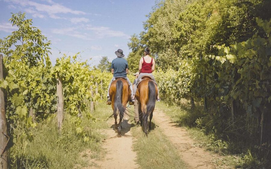 Valdichiana: Horseback Riding Tour with Tuscan Picnic - The stable address is the key logistical detail