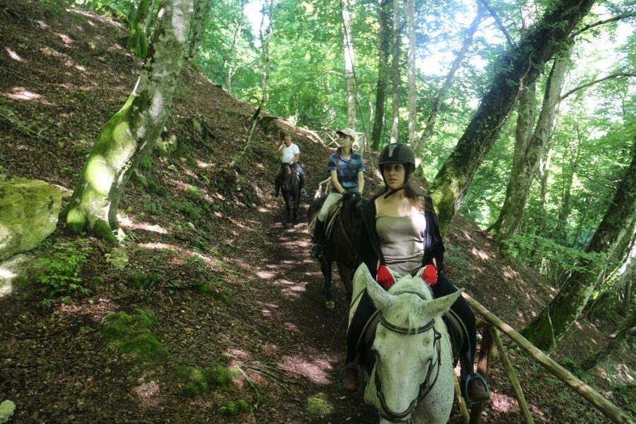 Valdichiana: Horseback Riding Tour with Tuscan Picnic - What the two-hour ride is like