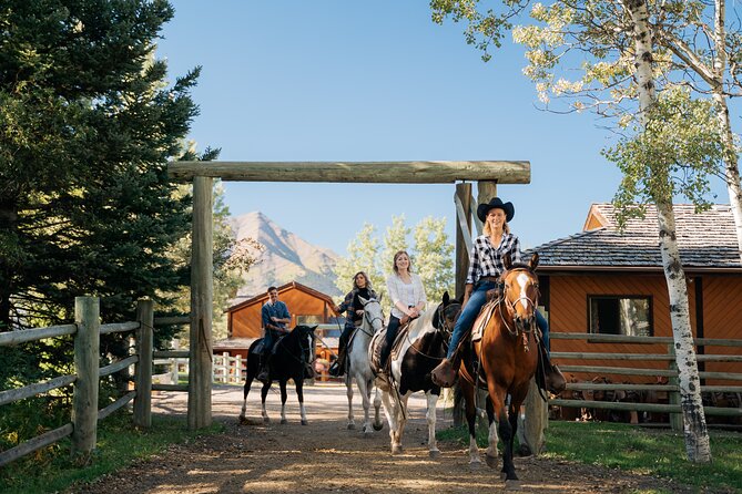 Valley Vista 1.5 Hour Horseback Trail Ride in Kananaskis - Key points to know before you book