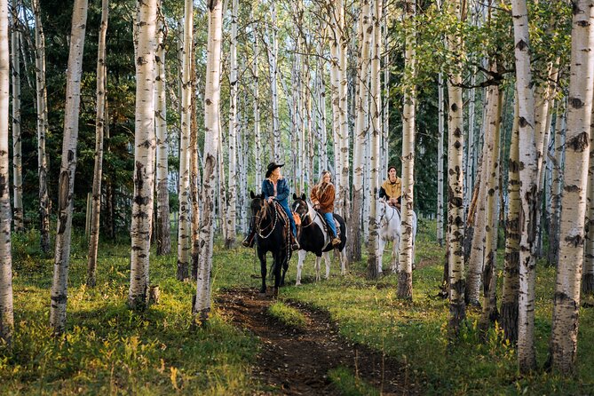 Valley Vista 1.5 Hour Horseback Trail Ride in Kananaskis - Starting at Boundary Ranch on Guinn’s Road