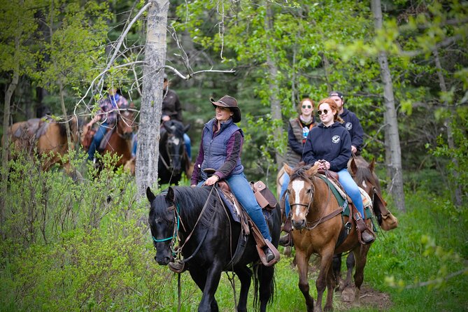 Valley Vista 1.5 Hour Horseback Trail Ride in Kananaskis - Guides who shape the ride