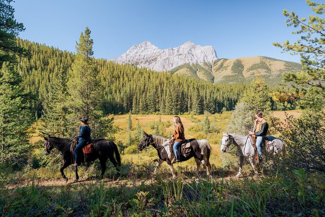 Valley Vista 1.5 Hour Horseback Trail Ride in Kananaskis - Through the aspen grove and toward Mount Kidd