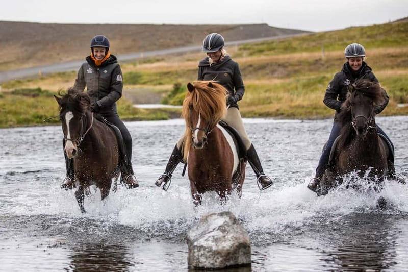 Varmahlid: Viking Horse Riding Tour - Key points to know before booking