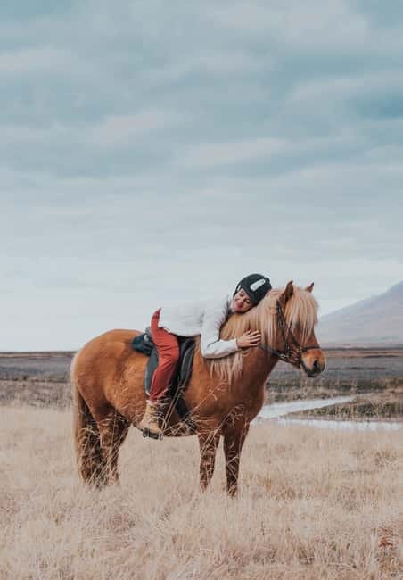 Varmahlid: Viking Horse Riding Tour - Riding the Icelandic horse from Varmahlíð
