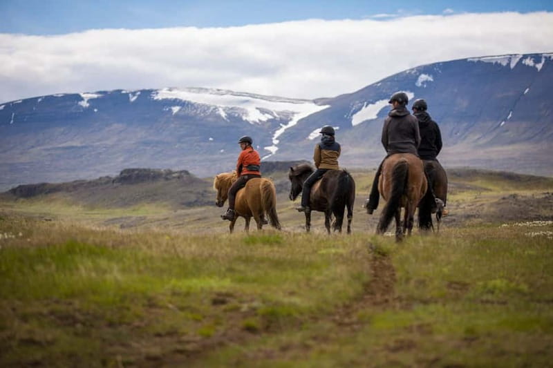 Varmahlid: Viking Horse Riding Tour - A gentle route with a hillside adventure track