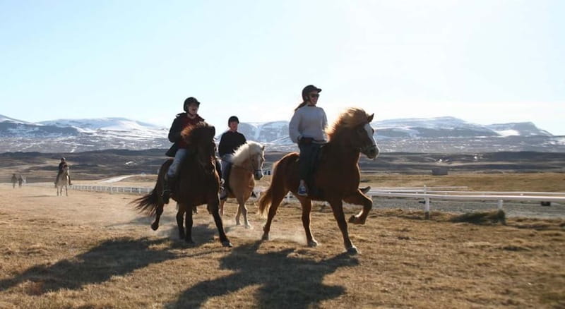 Varmahlid: Viking Horse Riding Tour - Reykjafoss, the ride’s main destination
