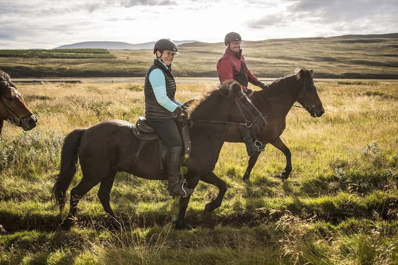 Varmahlid: Viking Horse Riding Tour - Why beginners tend to feel at ease