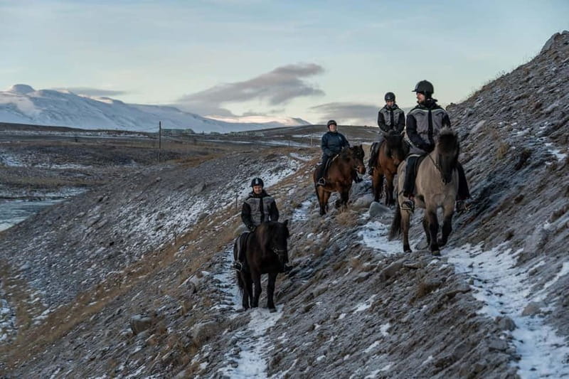 Varmahlid: Viking Horse Riding Tour - What to wear for North Iceland weather