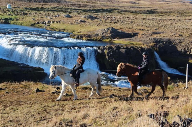 Varmahlid: Viking Horse Riding Tour - From Hestasport to the Svartá river