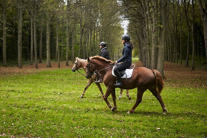 Versailles Private Tour : Horse-riding, Gastronomy & the Palace - Practical Advice Before You Book