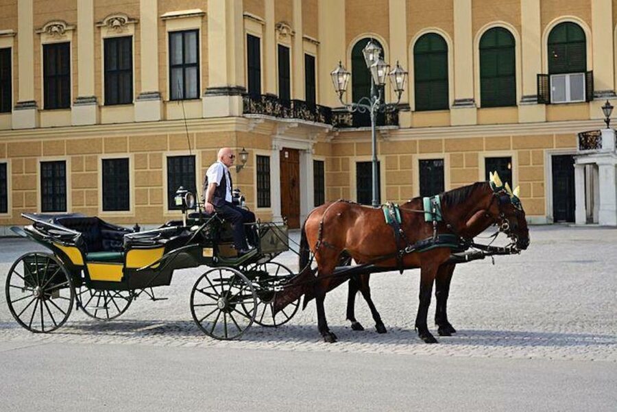 Vienna: Carriage Ride Through Schönbrunn Palace Gardens - Key points to know before you book
