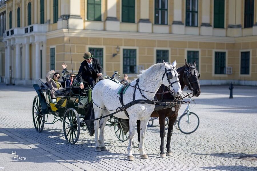 Vienna: Carriage Ride Through Schönbrunn Palace Gardens - Why a Fiaker is a good way to see Schönbrunn