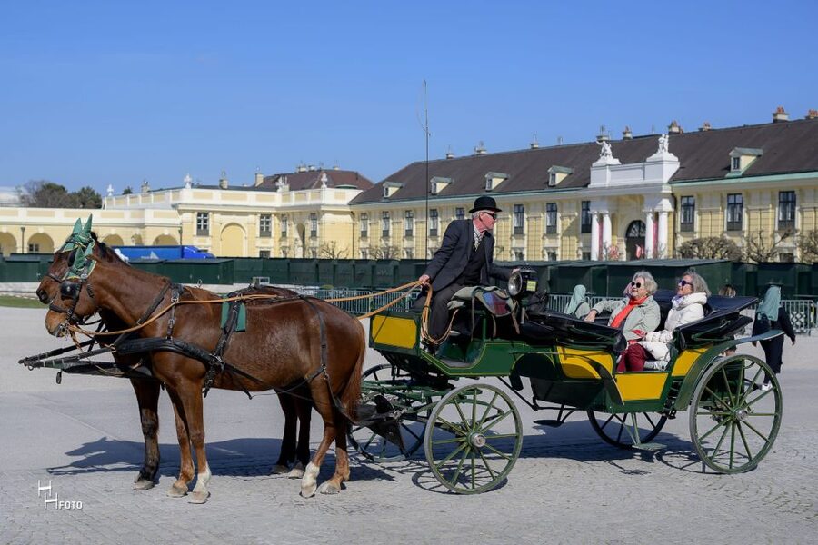 Vienna: Carriage Ride Through Schönbrunn Palace Gardens - Stories from an original Viennese Fiaker