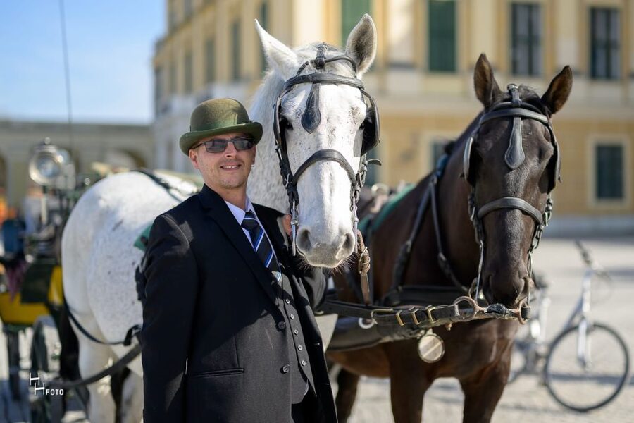 Vienna: Carriage Ride Through Schönbrunn Palace Gardens - Private pricing for couples, families, and small groups