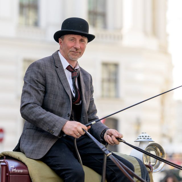 Vienna: Carriage Ride Through Schönbrunn Palace Gardens - Who will get the most from this carriage ride