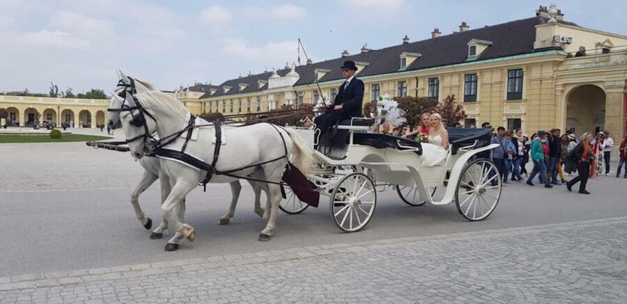 Vienna: Carriage Ride Through Schönbrunn Palace Gardens - Meeting the Fiaker in front of Schönbrunn Palace
