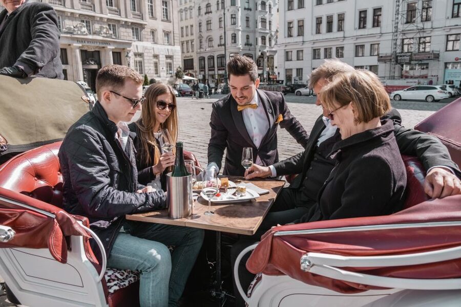 Vienna: Culinary Horse-Drawn Carriage Experience - Who should book this carriage ride?