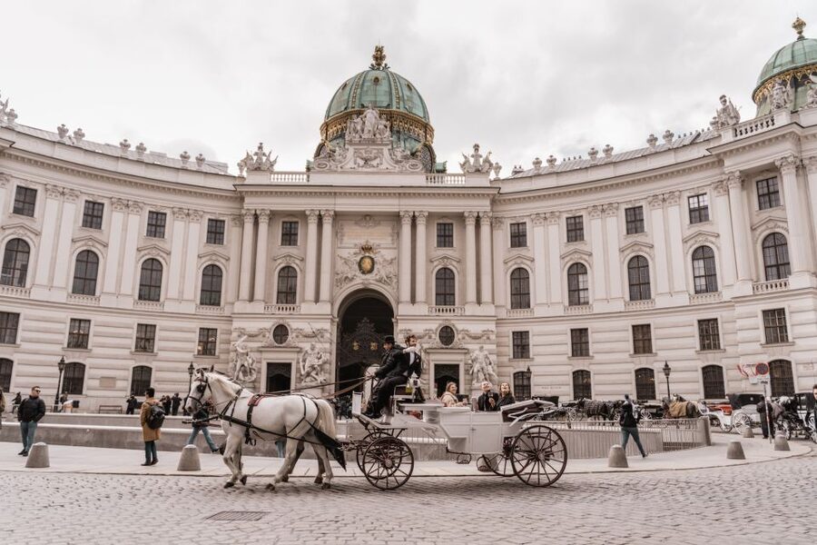 Vienna: Culinary Horse-Drawn Carriage Experience - Choosing the one-hour option