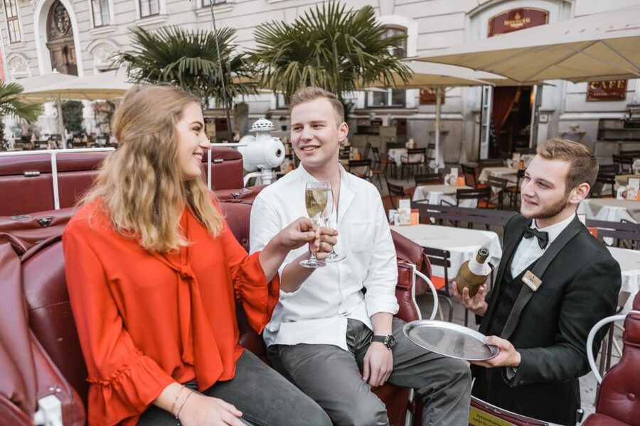 Vienna: Culinary Horse-Drawn Carriage Experience - Why the quiet pace works in Vienna