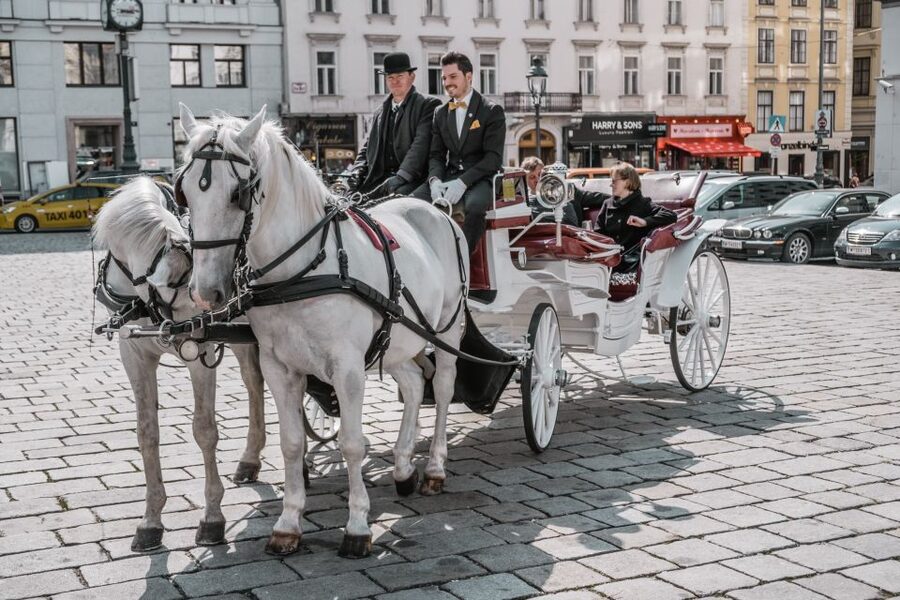 Vienna: Culinary Horse-Drawn Carriage Experience - When to ride: winter lights or clear daytime views