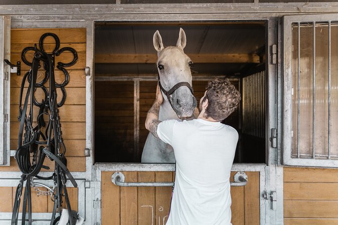 Vienna Horse-drawn Carriage Guided Tour - Why the stable visit is the real heart of the tour