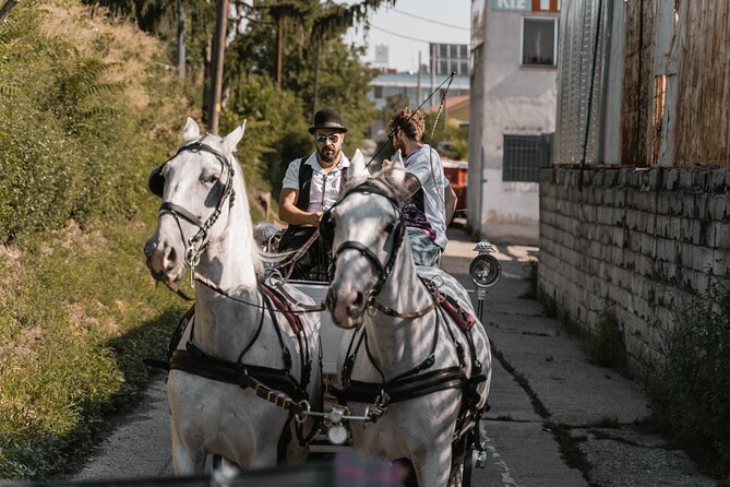 Vienna Horse-drawn Carriage Guided Tour - Hofburg is the strongest finish