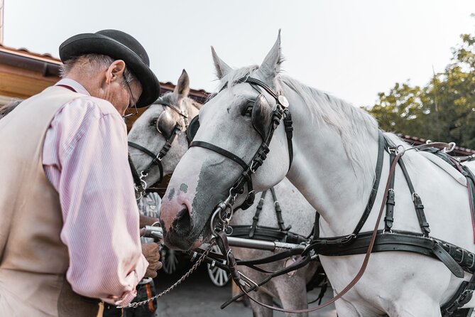 Vienna Horse-drawn Carriage Guided Tour - What $39.16 gets you