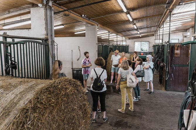 Vienna Horse-drawn Carriage Guided Tour - Family appeal, comfort, and group size