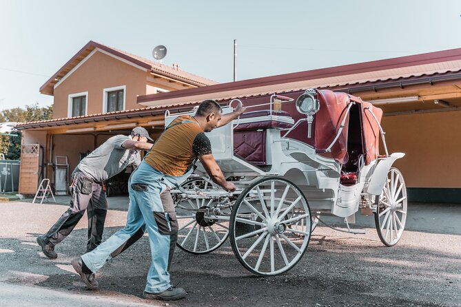 Vienna Horse-drawn Carriage Guided Tour - The main drawback: the ride is not fully narrated