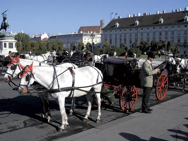 Vienna: Mozart Concert with Dinner and Carriage Ride - What the concert package actually includes
