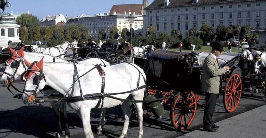 Vienna: Mozart Concert with Dinner and Carriage Ride - The 20-minute carriage ride through Vienna’s old town