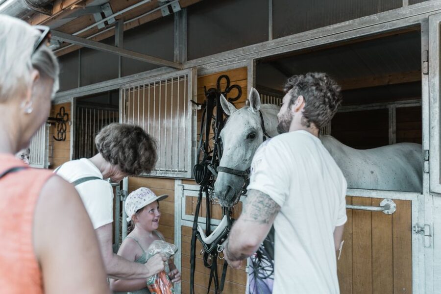 Vienna: Secrets of the Fiaker & Horse-Drawn Carriage Ride - What the $38 price really buys you