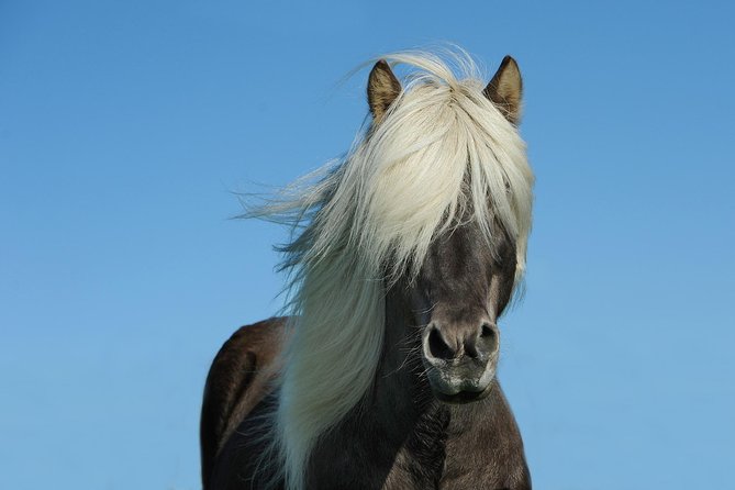Viking Horse Riding and Golden Circle Tour from Reykjavik - Gullfoss is the afternoon’s big finish