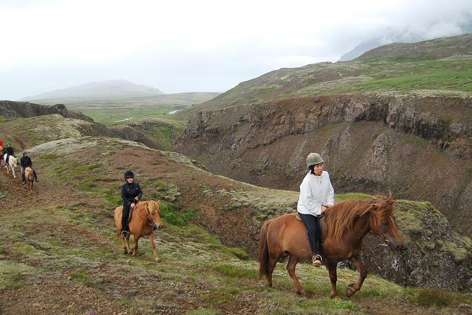 Viking Horse Riding and Golden Circle Tour from Reykjavik - What $213.97 buys you