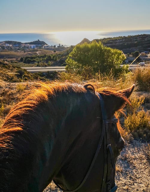Villajoyosa:2-hour Horseback Riding Tour - Group size and the feel of the outing