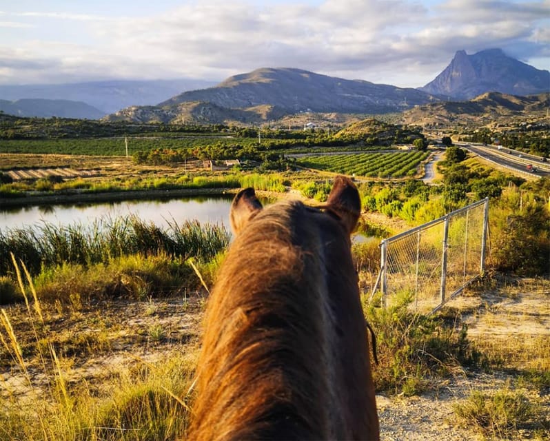 Villajoyosa Horseback Riding in the Mountains with sea views - Key points to know before you book