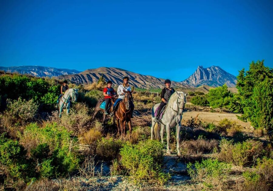 Villajoyosa Horseback Riding in the Mountains with sea views - Riding above Villajoyosa instead of beside the resort