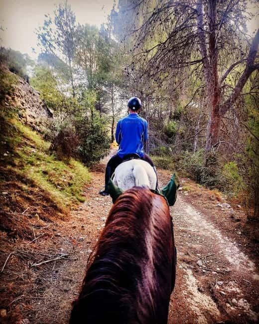Villajoyosa: Horseback Riding in the Mountains - Meeting your horse at Club hípico Legend