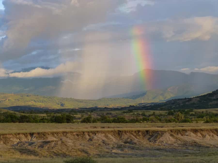 Villavieja: Tatacoa Desert Horseback Riding Tour - Should you book the Tatacoa horseback tour?