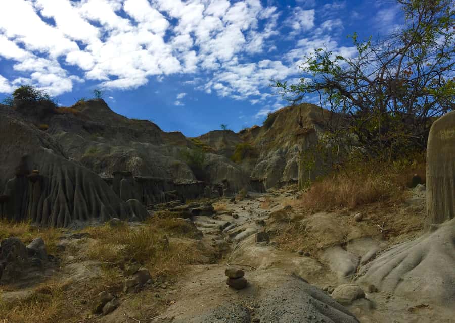 Villavieja: Tatacoa Desert Horseback Riding Tour - The fossil site and Tatacoa’s ancient past