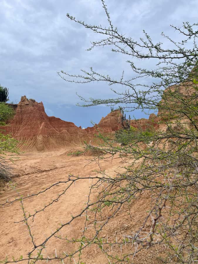 Villavieja: Tatacoa Desert Horseback Riding Tour - Is $86 good value for two hours?